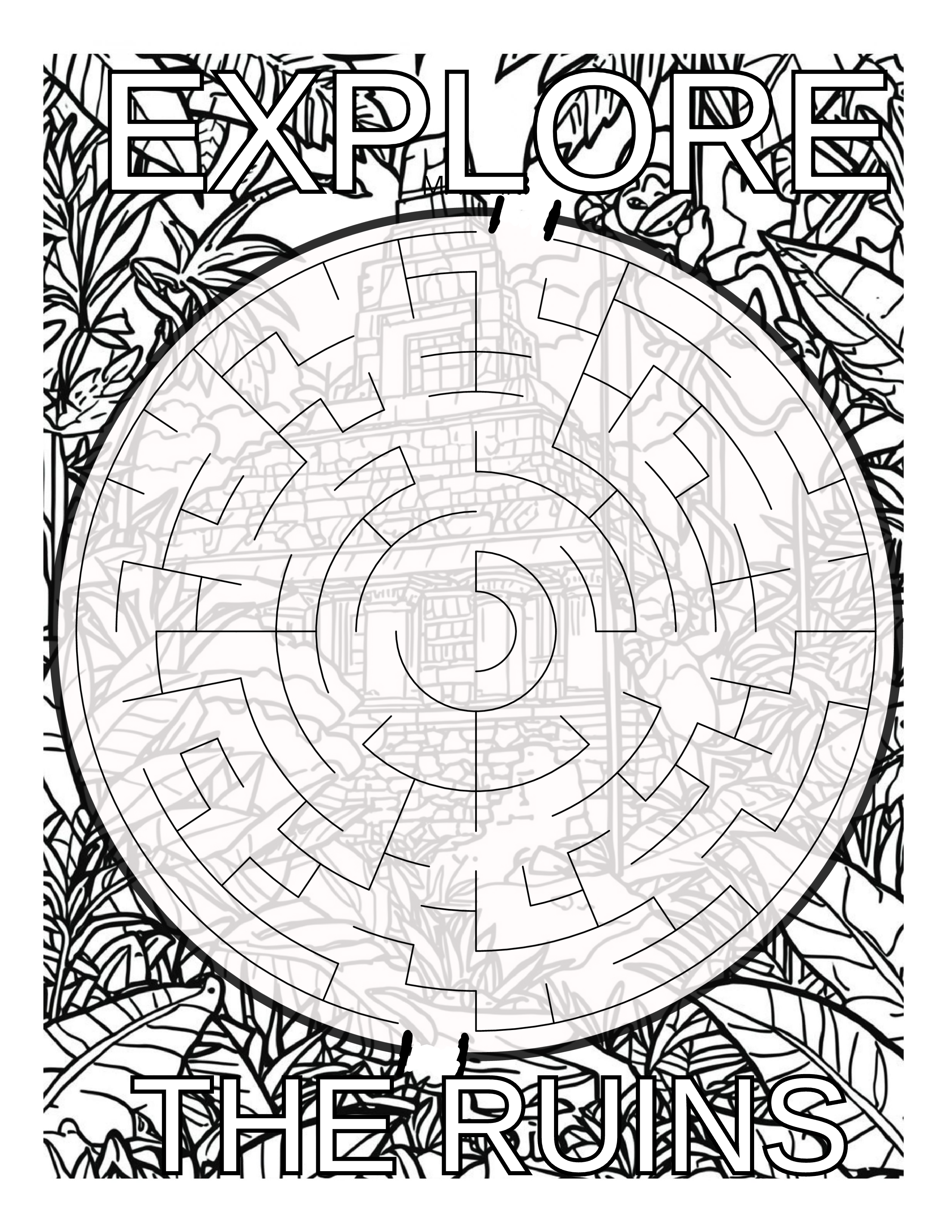 MAZE PUZZLES